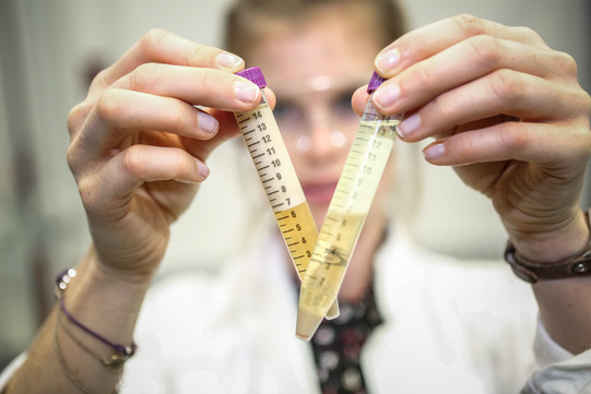 A student holds two sample vessels side by side with a liquid that has separated in light yellow color.